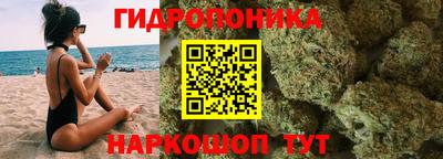 бошки Будённовск