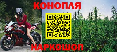 бошки Будённовск